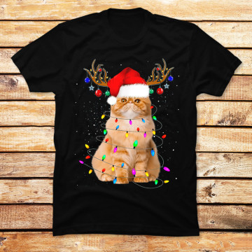 Cat Christmas Reindeer Santa Hat