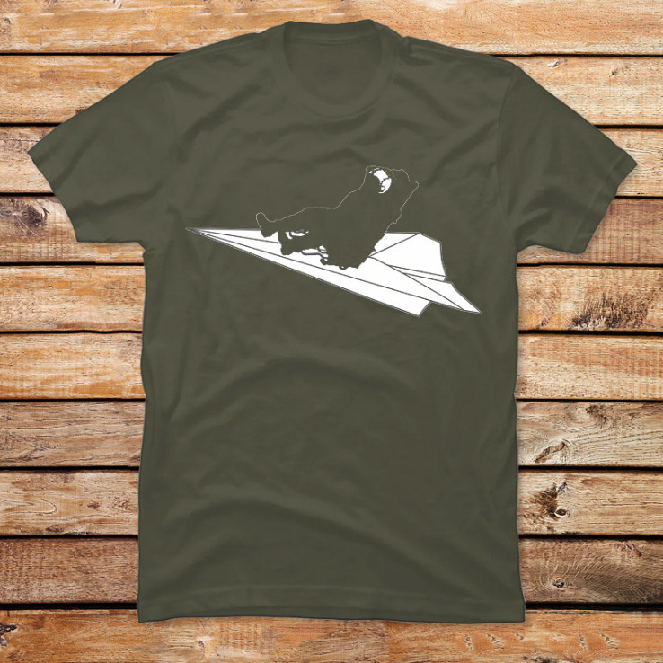 The Paper Plane Pilot