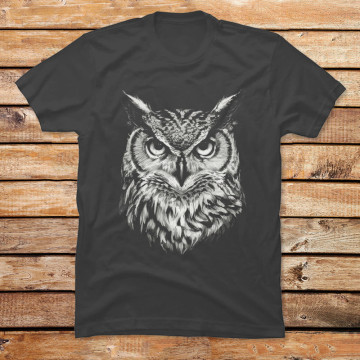 Wise Owl Gaze