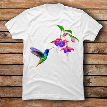 hummingbird and fucshia