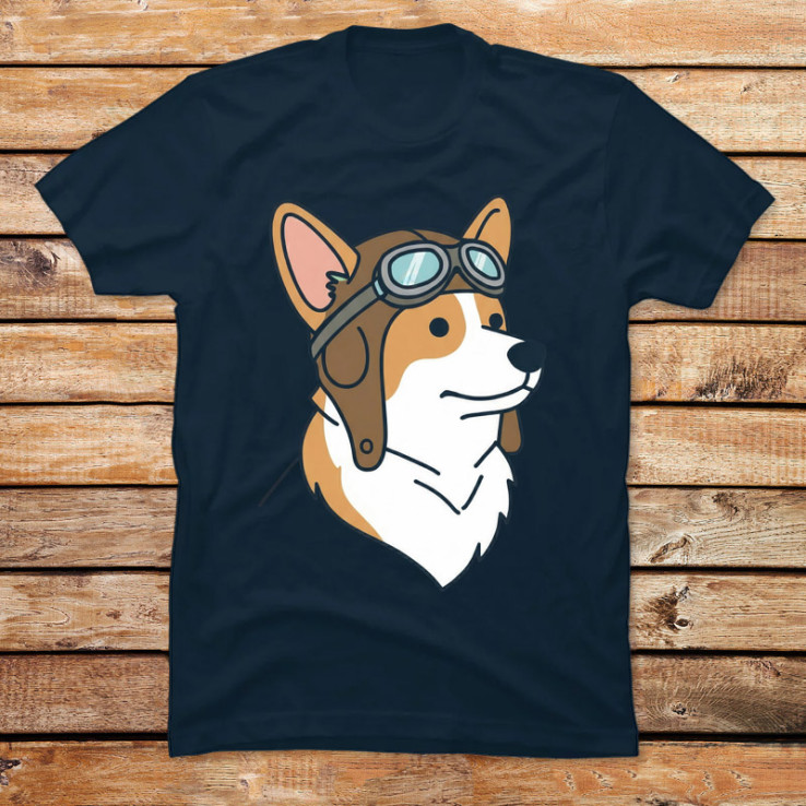The Barnstormer Corgi