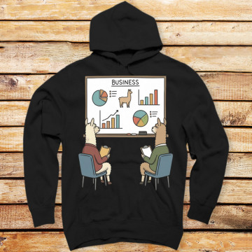 Llama Corporate Presentation