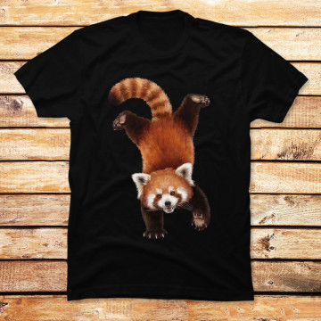 Handstand Red Panda