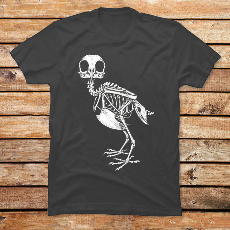 Osteology of the Owl