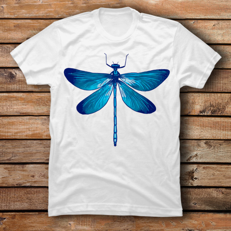 Blue Dragonfly