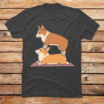 Acroyoga Corgi