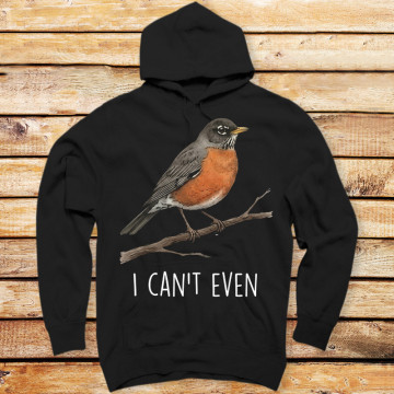 I Can't Even Robin