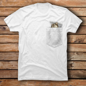 Cat Sleeping in Pocket