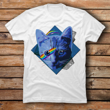 Rainbow cat