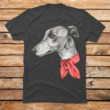 Greyhound with Scarf