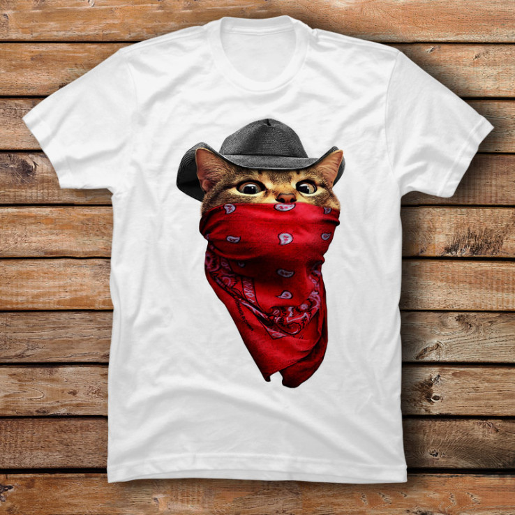 Robber Cat