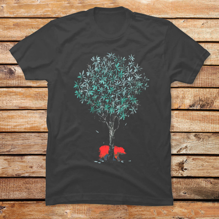 Wild Bear