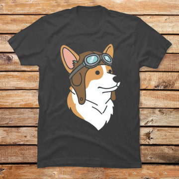 The Barnstormer Corgi