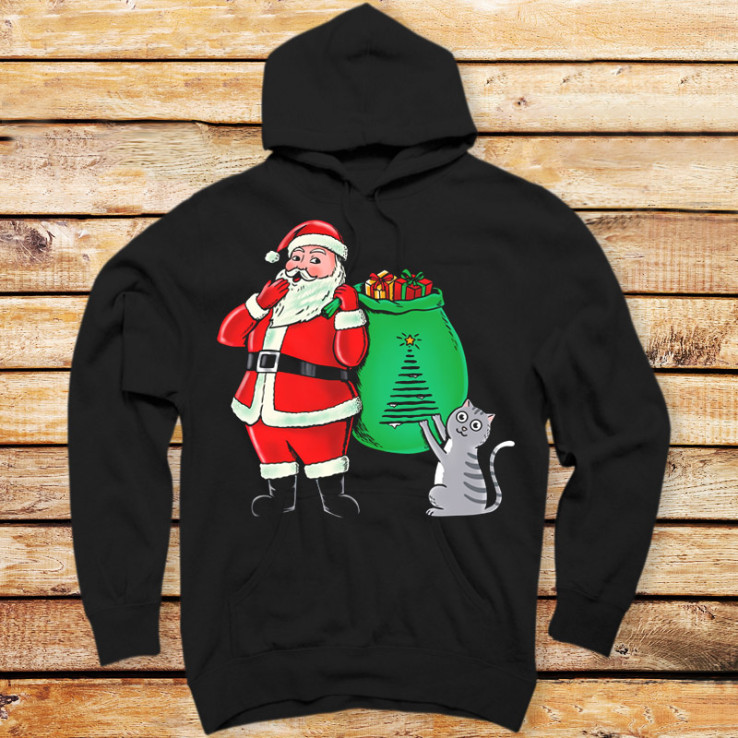 Cat and santa claus II